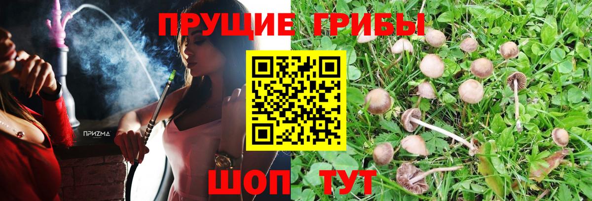 ГАШ  Гашиш  Канабис  Когалым  Вход с VPN  Меф МЯУ МЯУ  