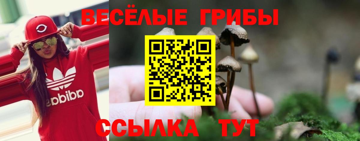 Псилоцибиновые грибы мухоморы  Вход с VPN  как найти закладки  Когалым 